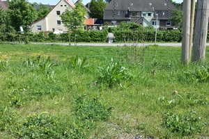 20140503_141212_Richtone(HDR)