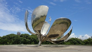 The Magical Flower